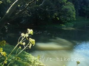 rimg0384