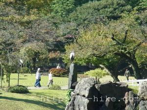 rimg0383