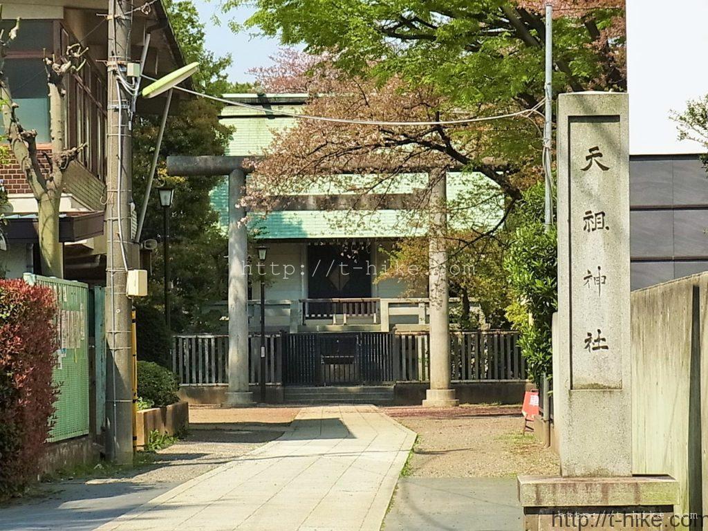 RIMG0152