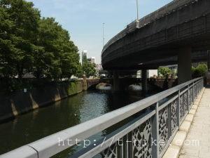 RIMG0677