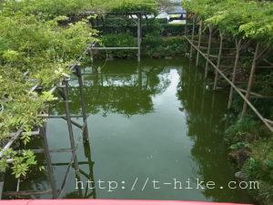 rimg0248