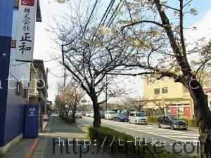 RIMG0872