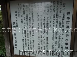 RIMG0451