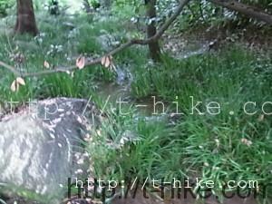 RIMG0456