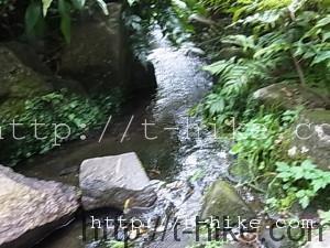 RIMG0455