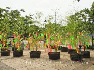 RIMG0236
