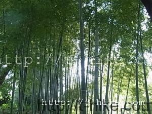RIMG0067