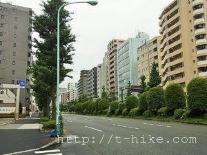 RIMG0539
