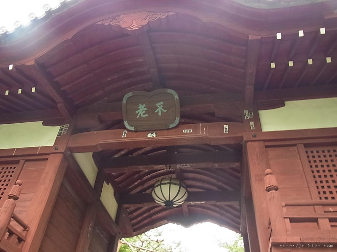 RIMG0346