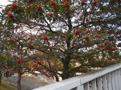 DSCN0395