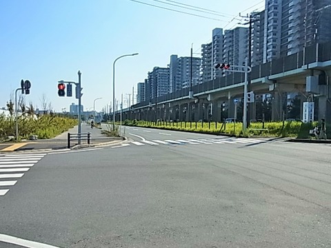 RIMG0229