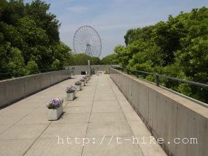 RIMG0298