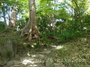 rimg0334