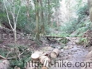 Exif_JPEG_PICTURE