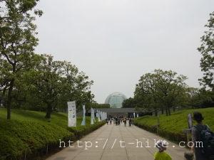 RIMG0242