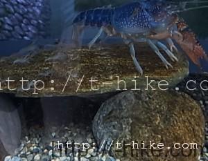 RIMG0076