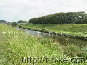 RIMG0033