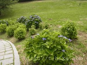RIMG0233