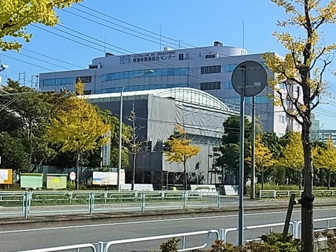 RIMG0206
