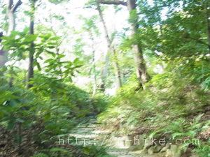 rimg0336