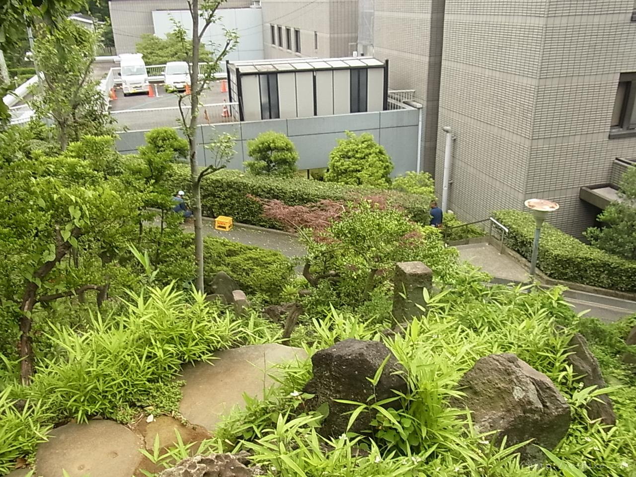 RIMG0336