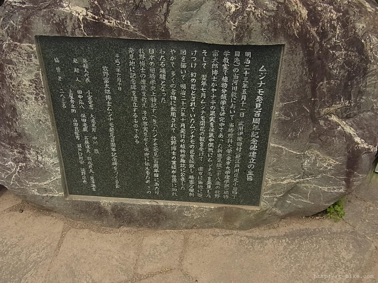 RIMG0247