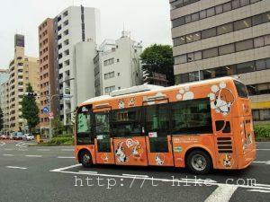 RIMG0538