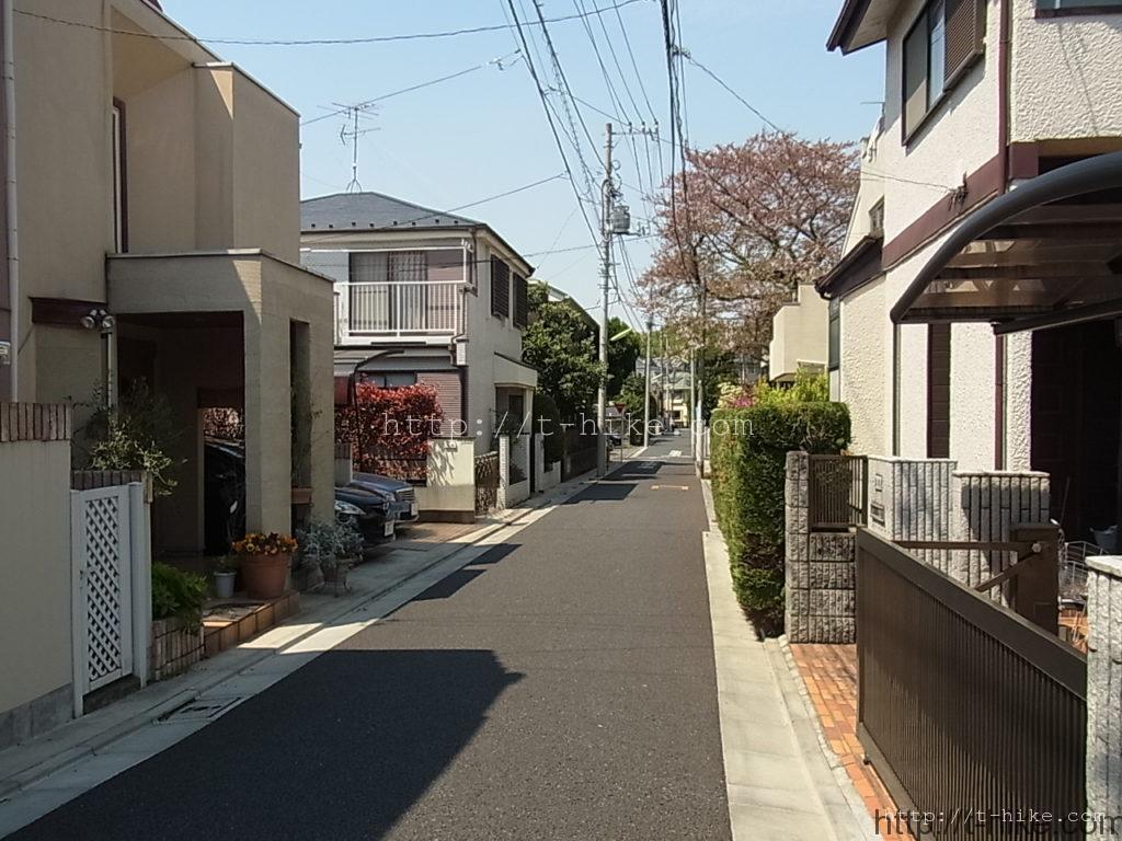 RIMG0086
