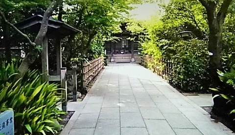 RIMG0564