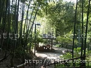 RIMG0065