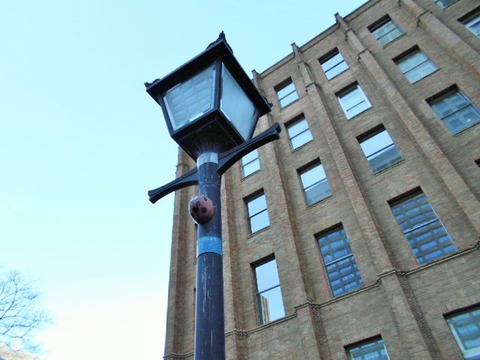 DSCN1195