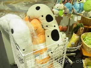 RIMG0296