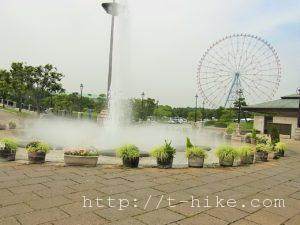 RIMG0229