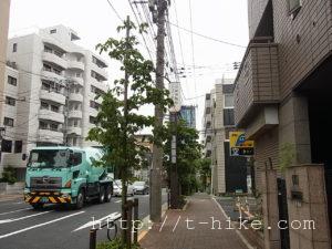 RIMG0593