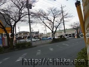 RIMG0864