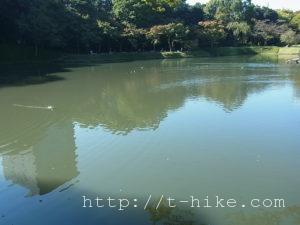 rimg0381