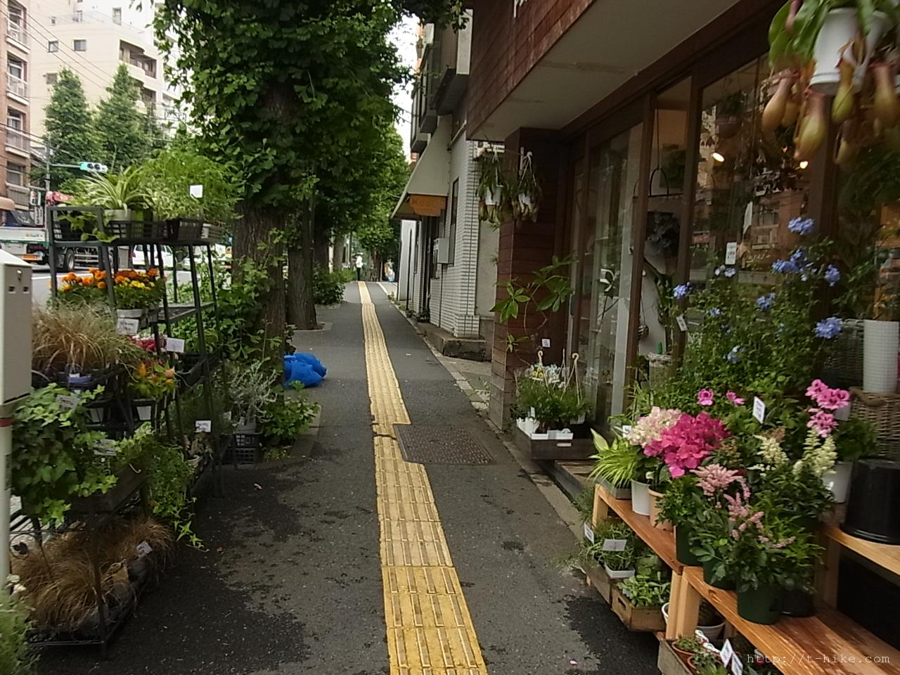 RIMG0364