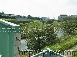 RIMG0028