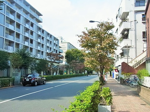 RIMG1315