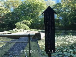 rimg0387