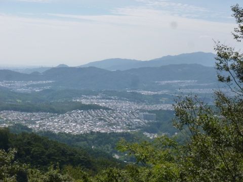 めだか4H (480x360)