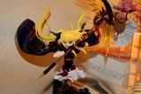 20110213_fate.jpg