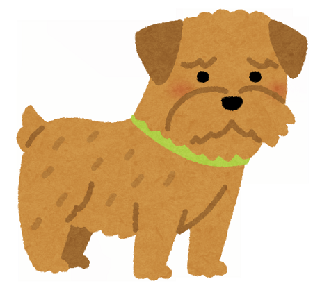dog_norfolk_errier
