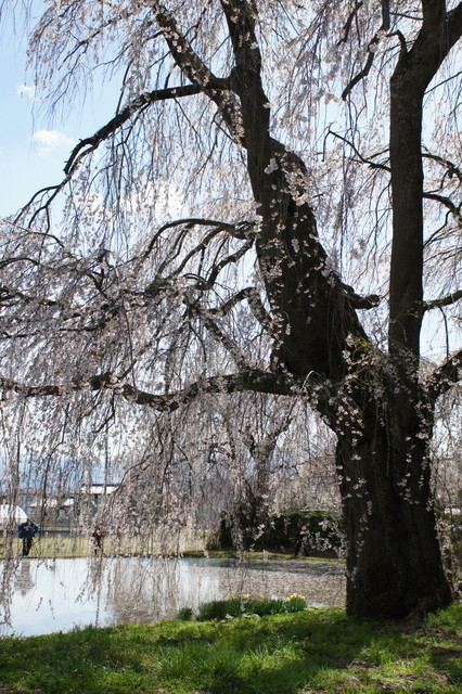 DSC00068