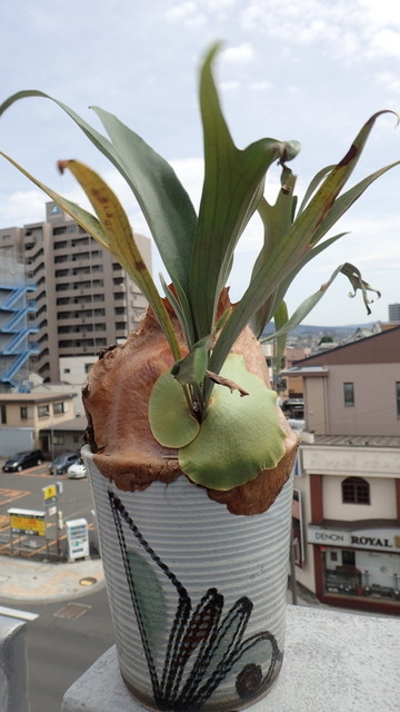 P5060032