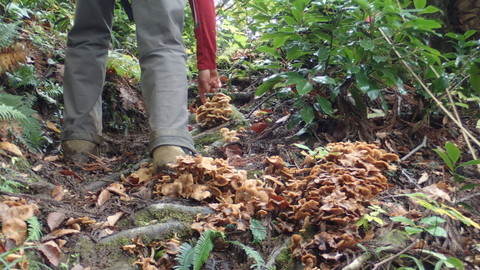PA080004