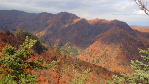 PB040009