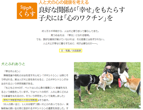 sippo太田匡彦太田光明