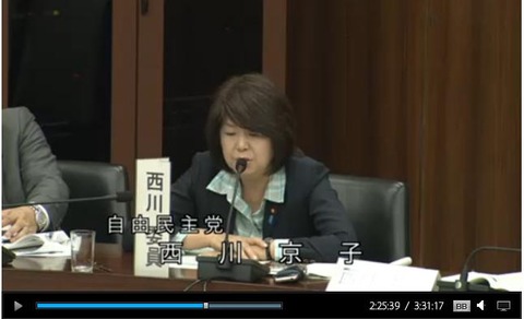 16憲法審査会西川京子