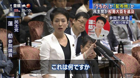 蓮舫「これは何ですか」